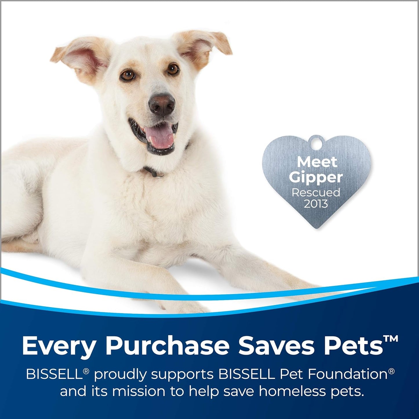 PowerFresh 2-in-1 Lightweight Steam Mop, Sanitizes Hard Floors & Hard Surfaces with On-Demand Steam - SmartGatelb