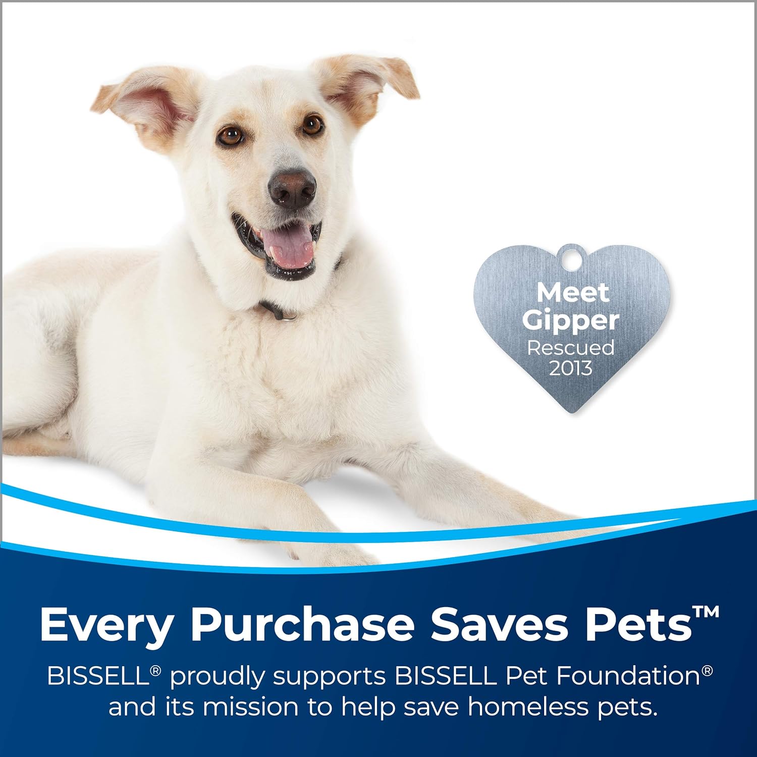 PowerFresh 2-in-1 Lightweight Steam Mop, Sanitizes Hard Floors & Hard Surfaces with On-Demand Steam - SmartGatelb