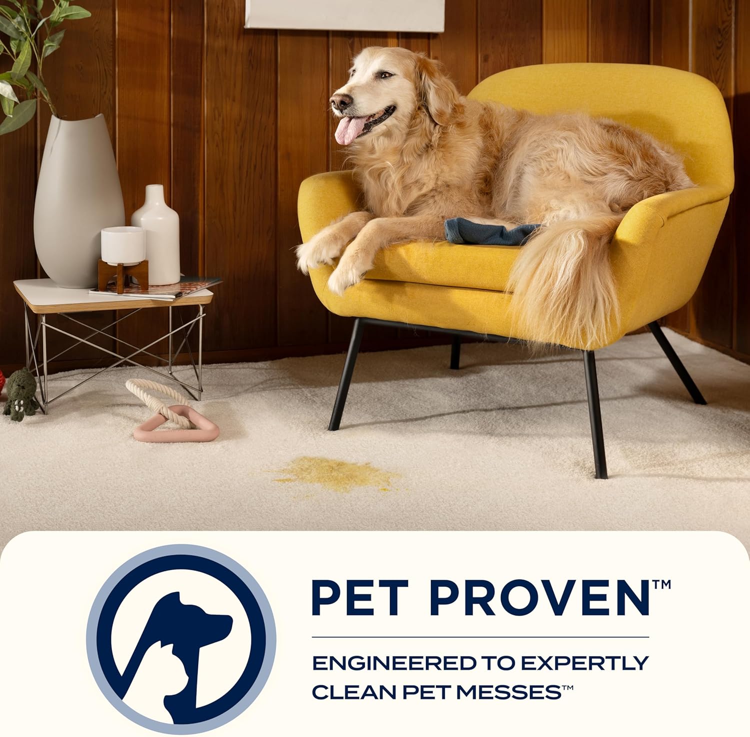 BISSELL Stain Eraser Turbo 2982F Cordless Portable Spot Cleaner for Carpets and Upholstery - SmartGatelb