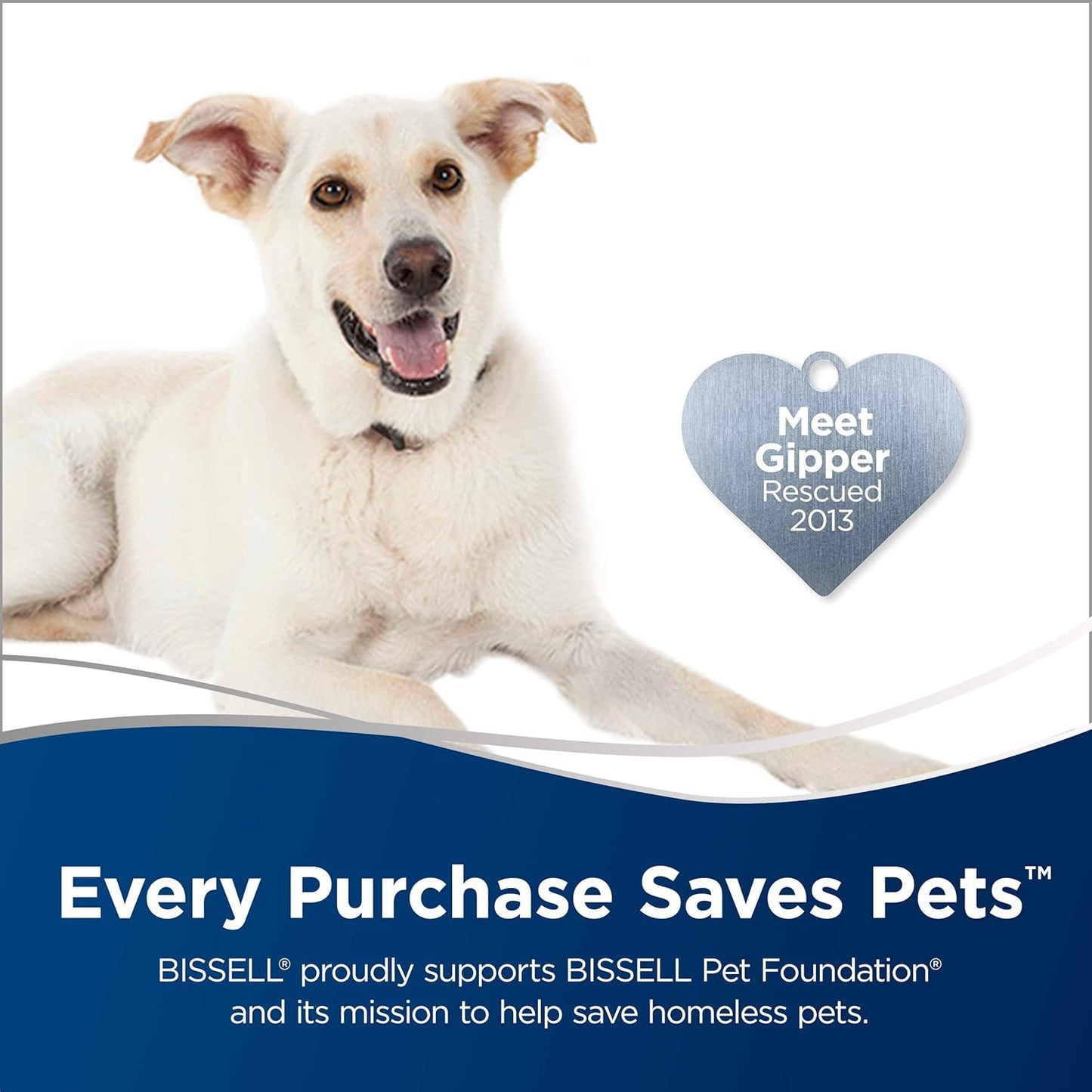 Bissell Stain Eraser Cordless Portable Carpet Cleaner, and car/auto detailer - SmartGatelb