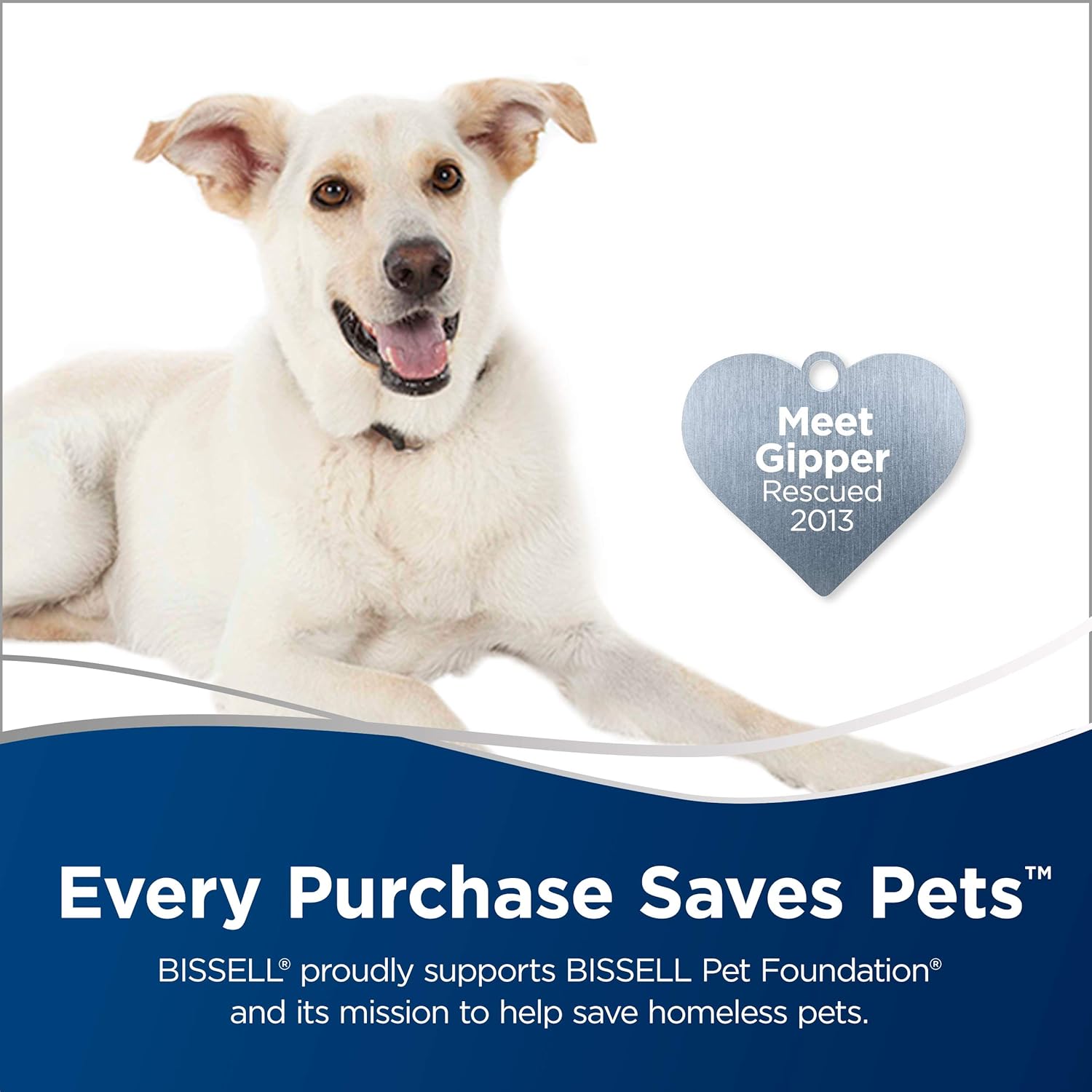 Bissell Stain Eraser Cordless Portable Carpet Cleaner, and car/auto detailer - SmartGatelb