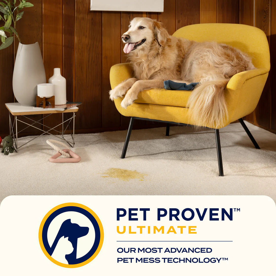 Bissell SpotClean HydroSteam | 3700E - SmartGatelb